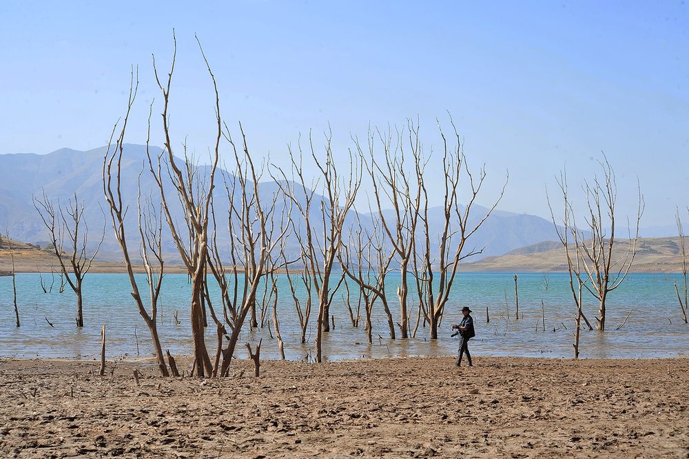 Photograph by Farid Ataei