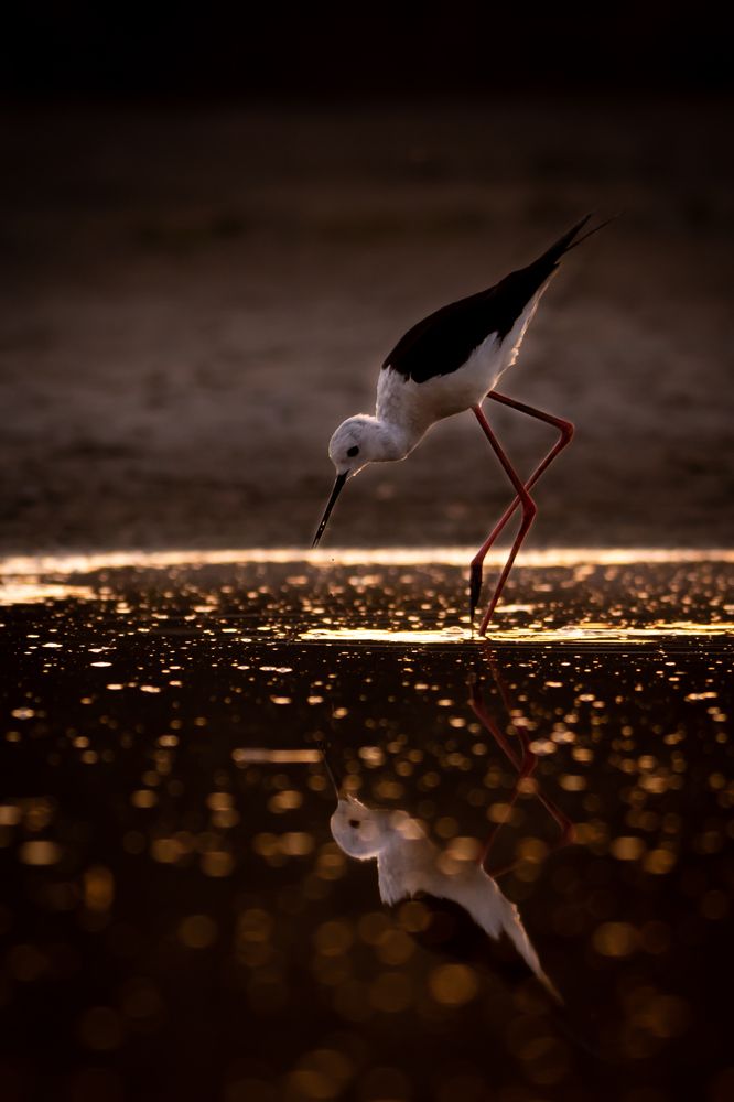 Photograph by Алёна Газукина