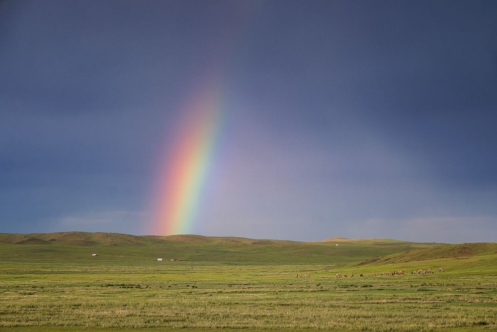 Photograph by Галина Юдина