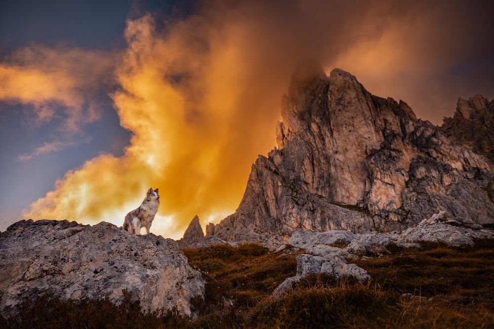 Photograph by Daniela Schmid