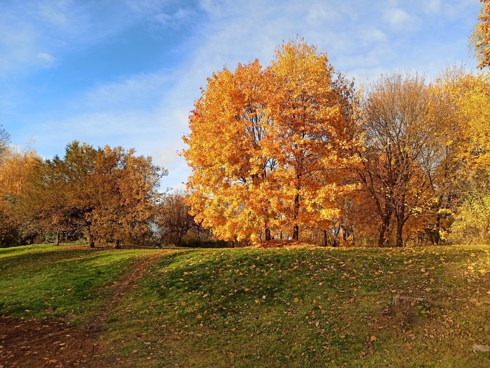 Царская осень