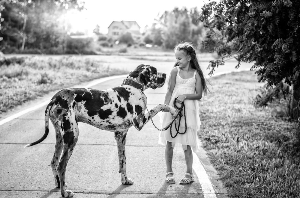 Photograph by Екатерина Лебедева