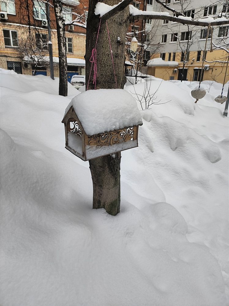Photograph by Андрей Тезиков