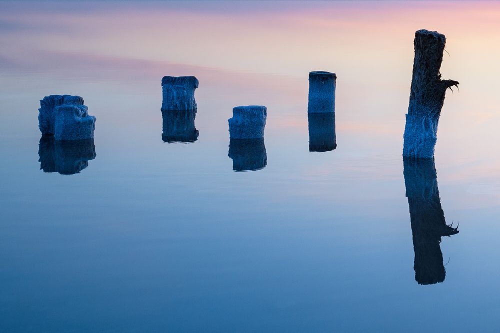 Photograph by Леонид Синев