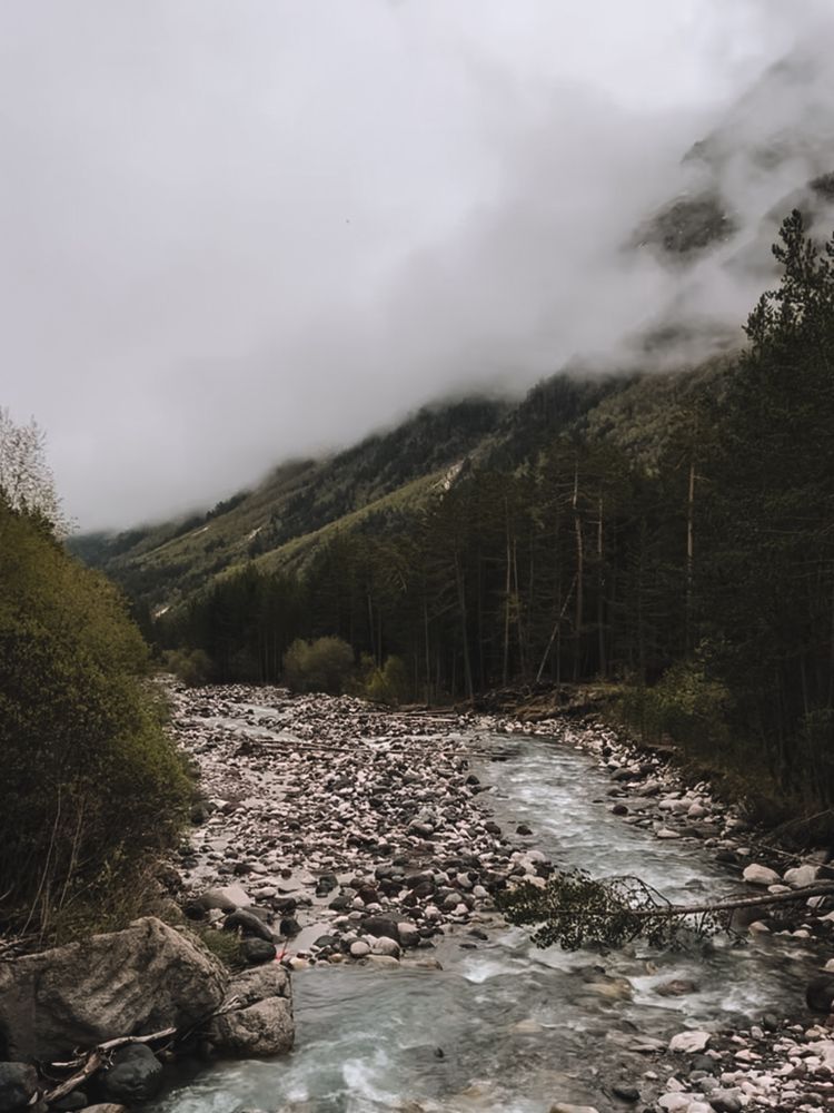 Фотография автора VICTORIA KAZAKOVA