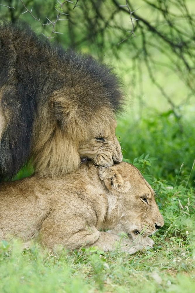 Photograph by IGOR CHEBUNIN