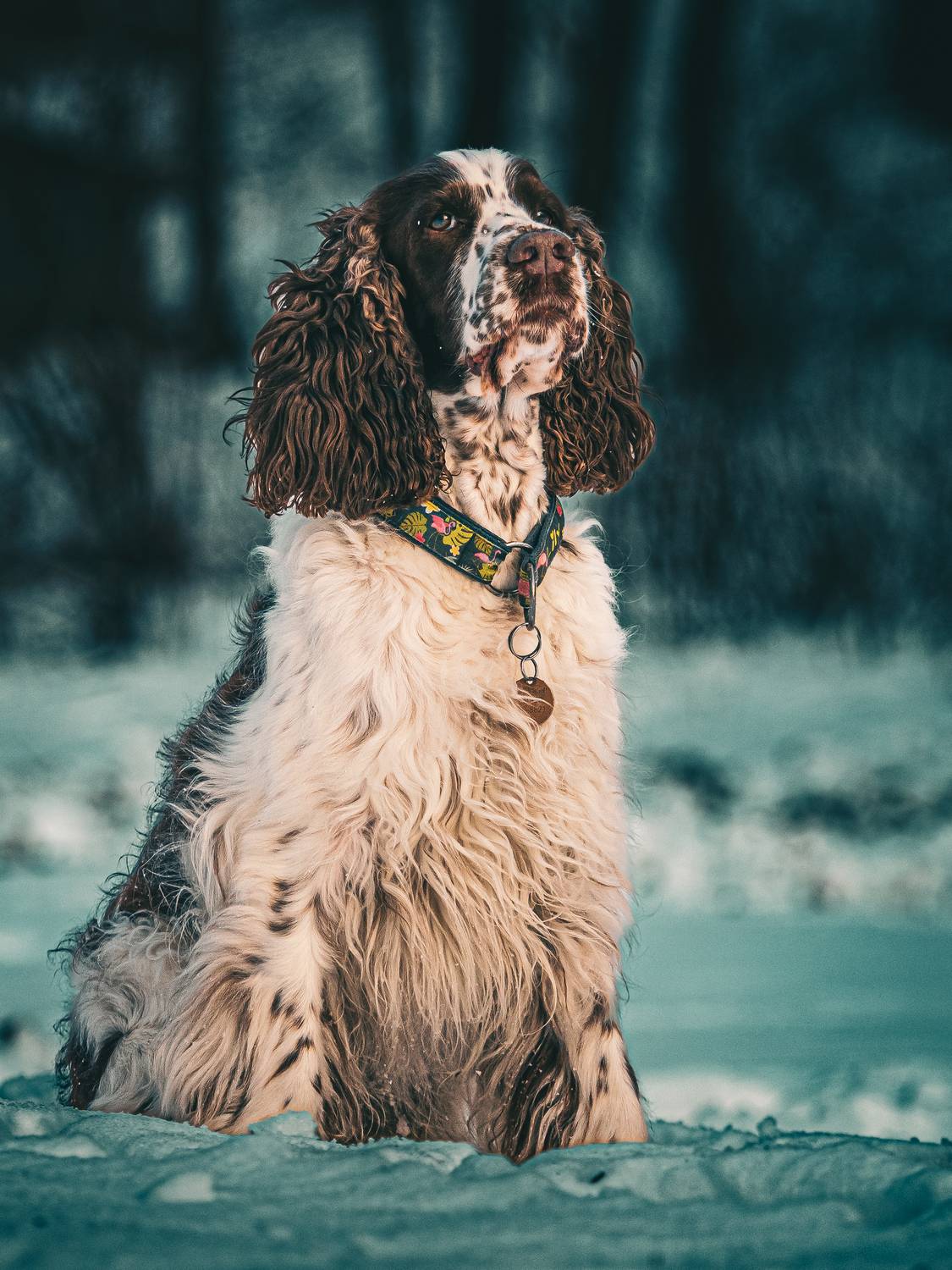 Фотография #13382040