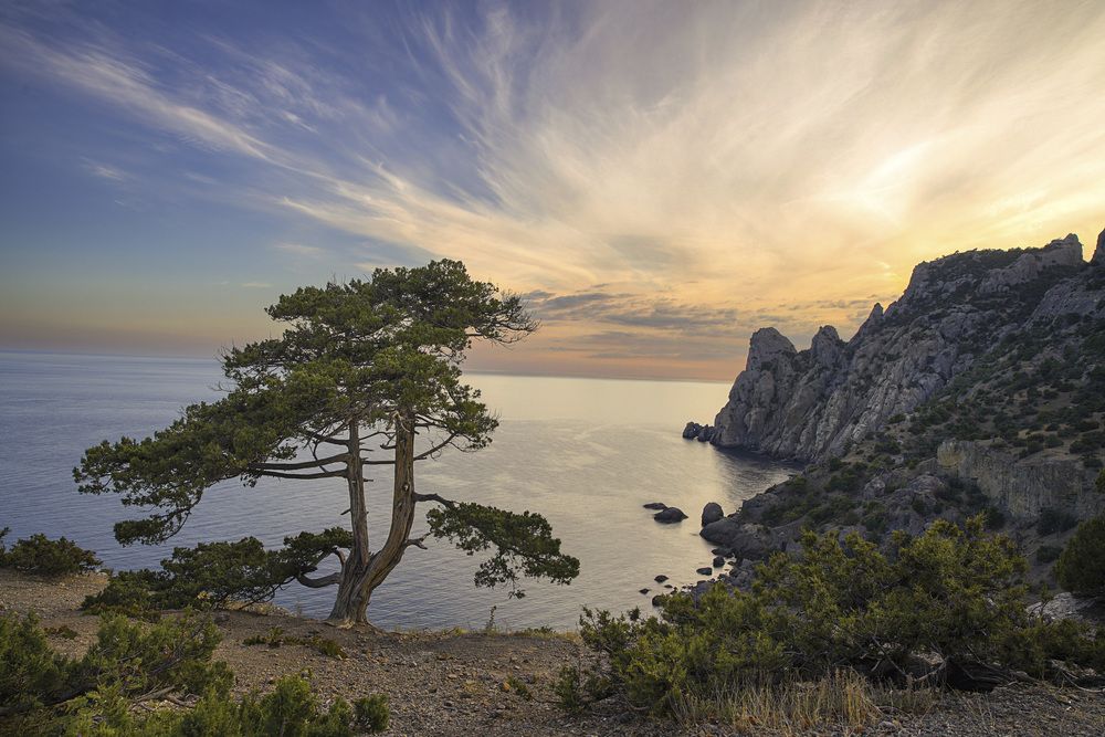 Фотография автора Алена Полетаева