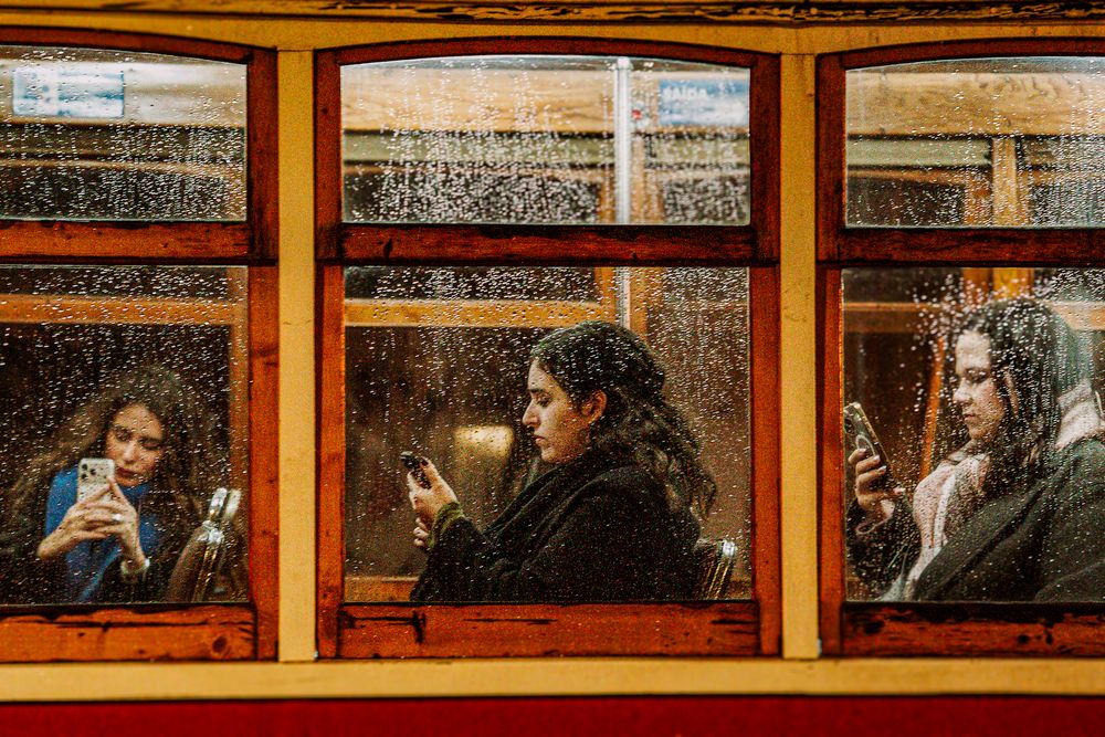 Фотография автора PINAR ERGUL BAYRAM