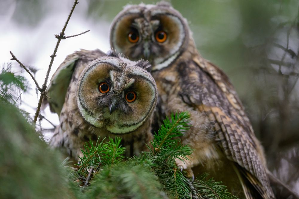 Photograph by Афлятунов Рустам