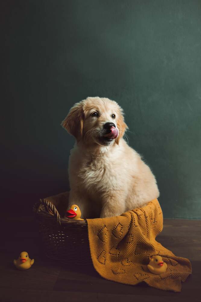 Photograph by Zuzana Zezulova