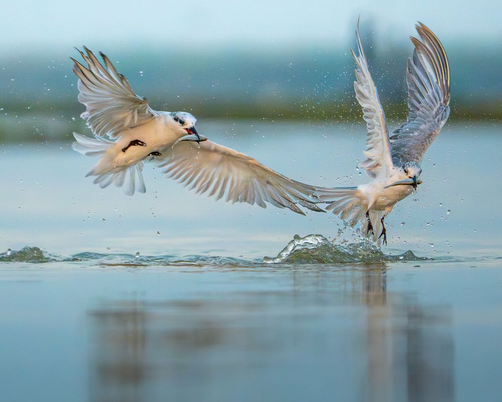 Photograph by Sayantan Mondal