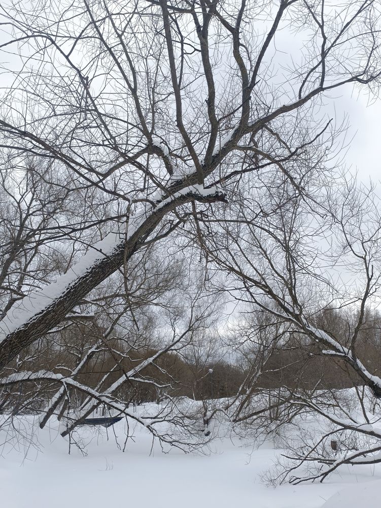 Photograph by Светлана Паренкова