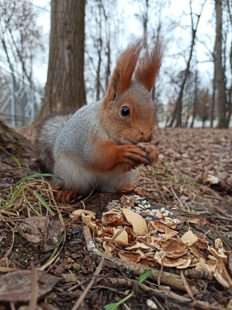 Сытный ужин