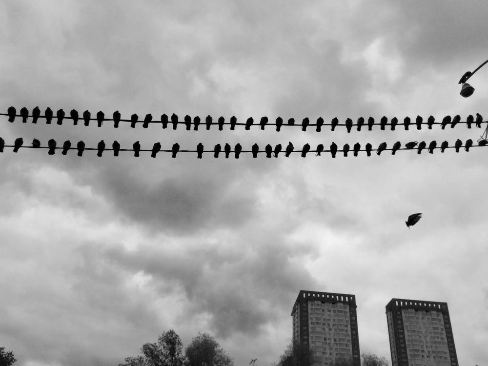 Photograph by Михаил Хромаков