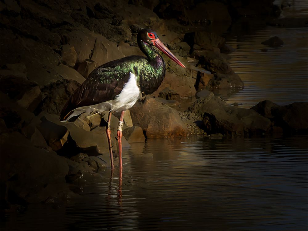 Photograph by Lev Tsenter