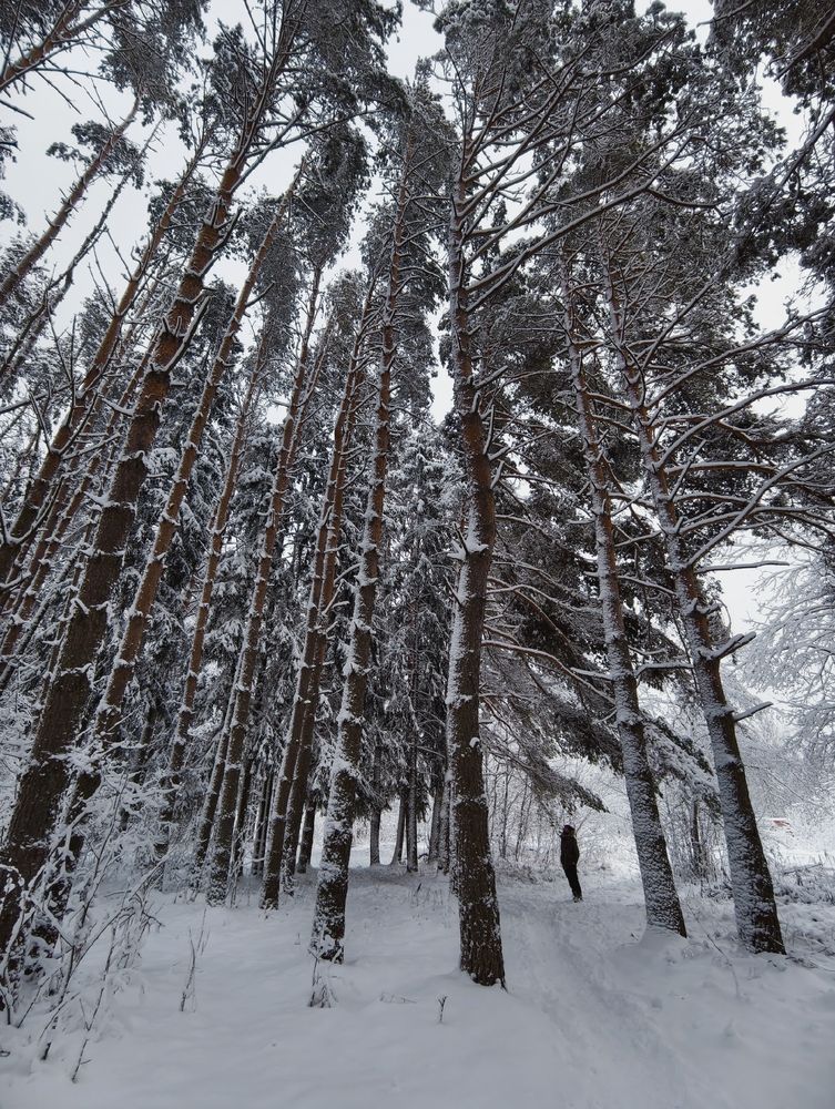 Photograph by Юлия Фомина