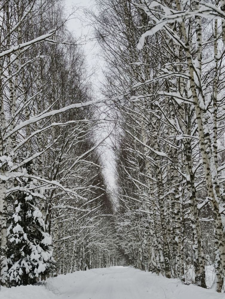 Photograph by Юлия Фомина