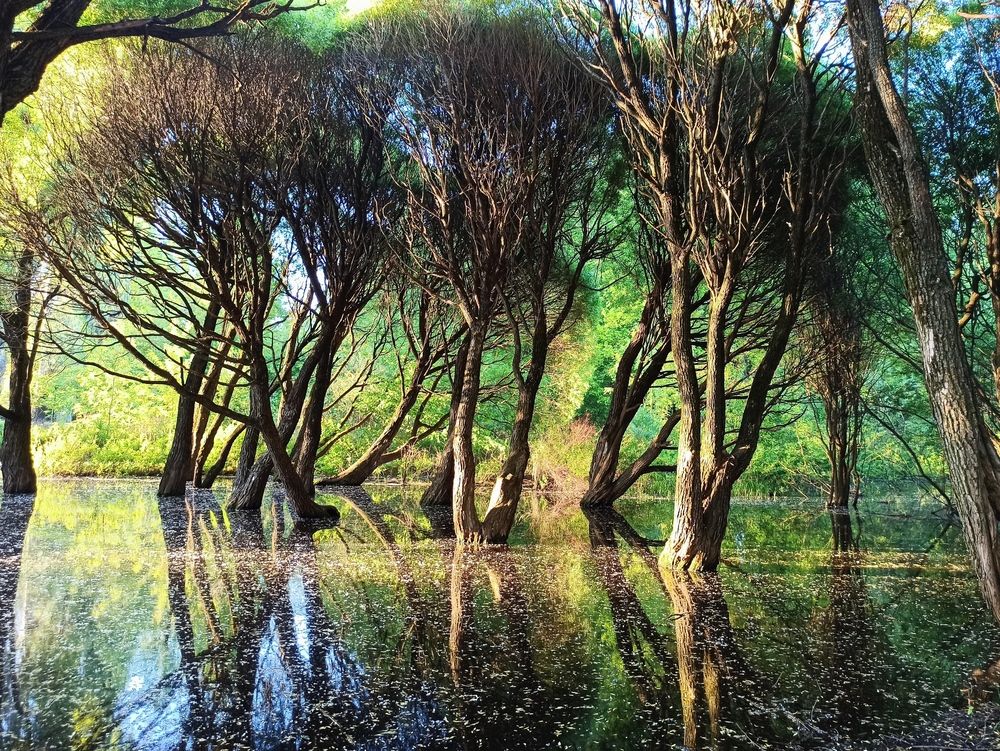 После снежной зимы