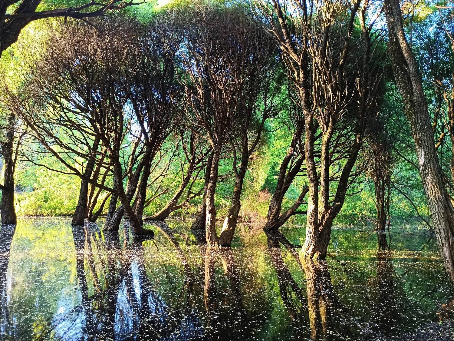 После снежной зимы