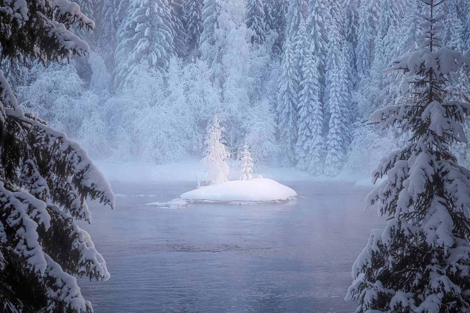 Фотография #13382530