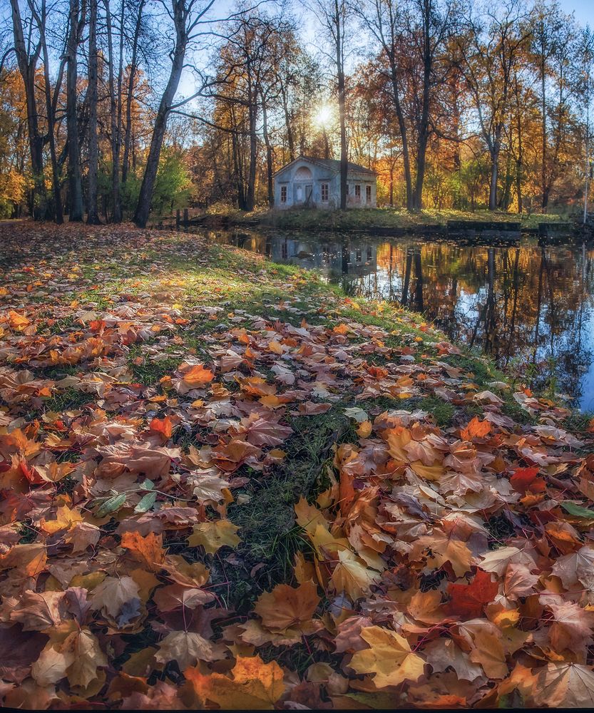 Фотография автора Щепотина Татьяна