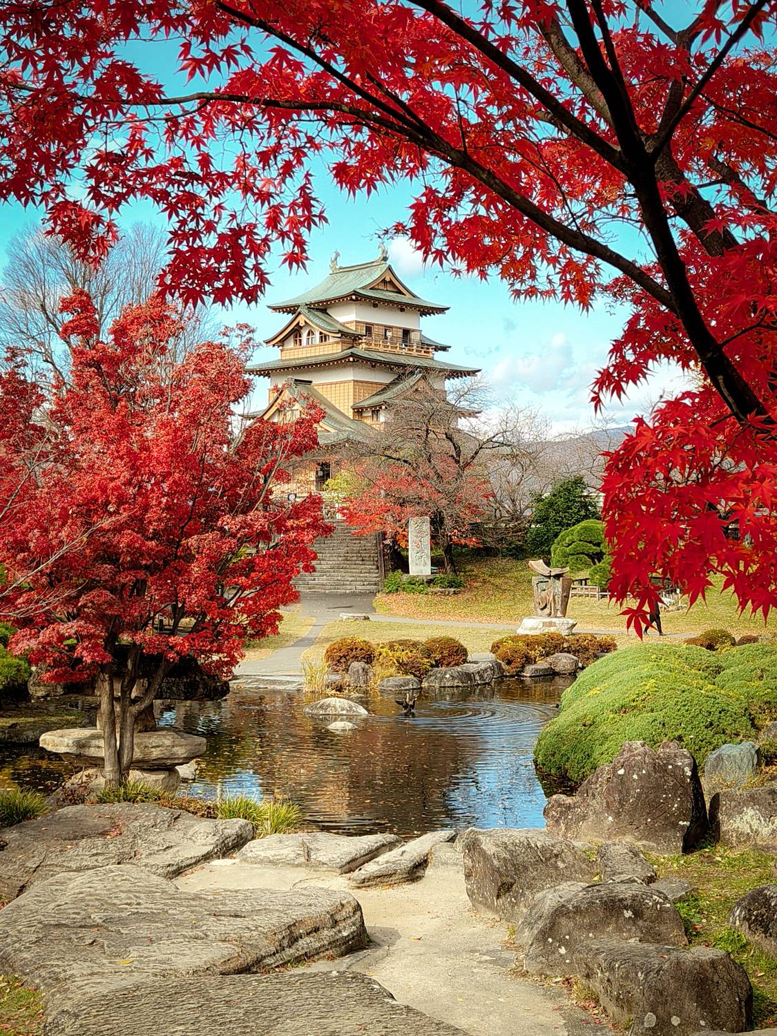 Фотография #13382644