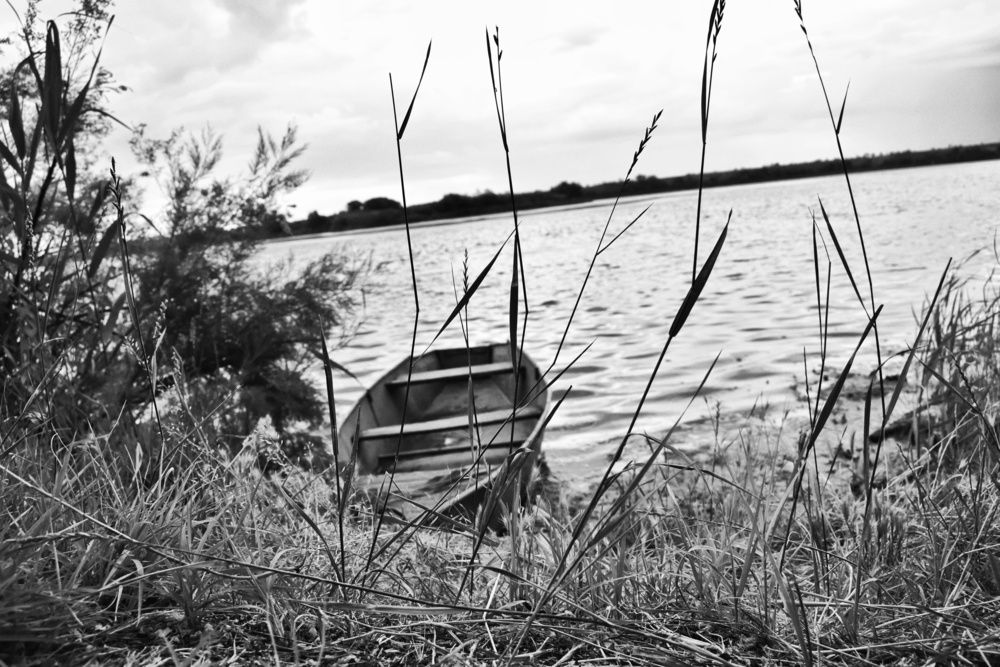 Photograph by Стефан Щербаков