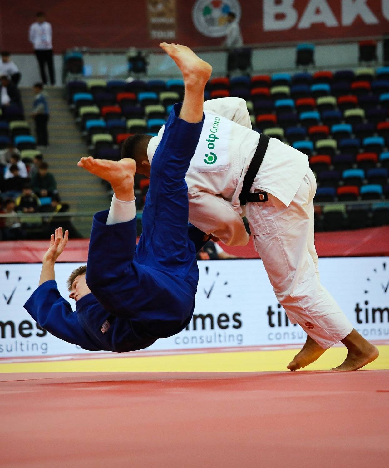 Photo #13382840