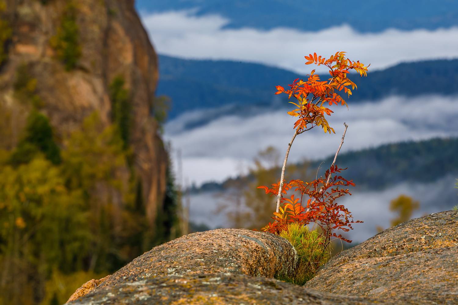 Фотография #13382843