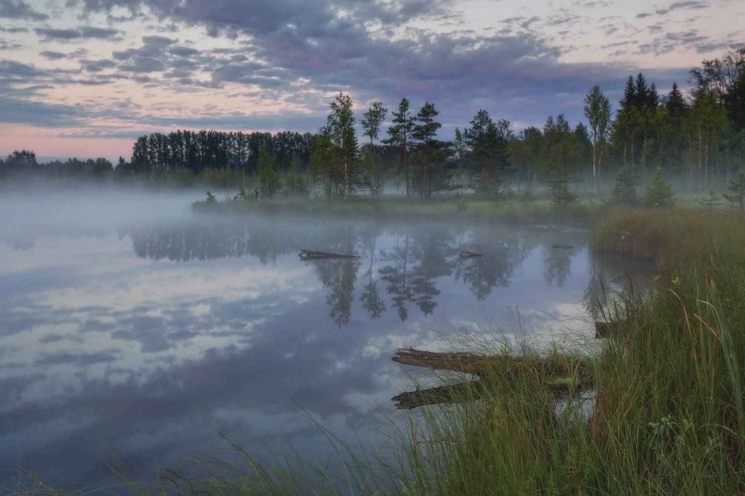 Фотография #13382859