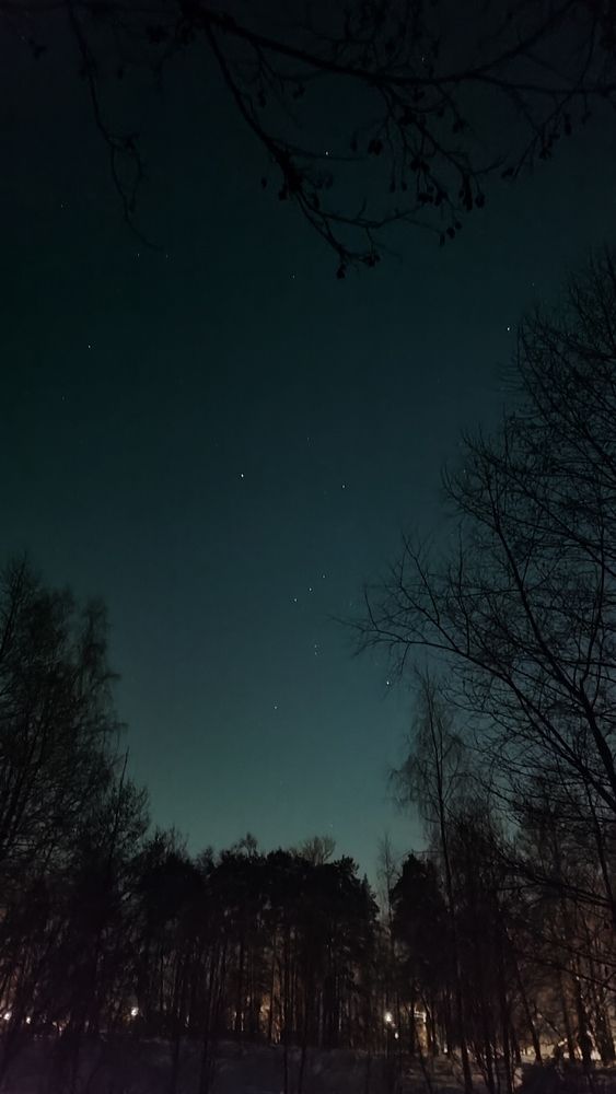 Photograph by Мария Петухова