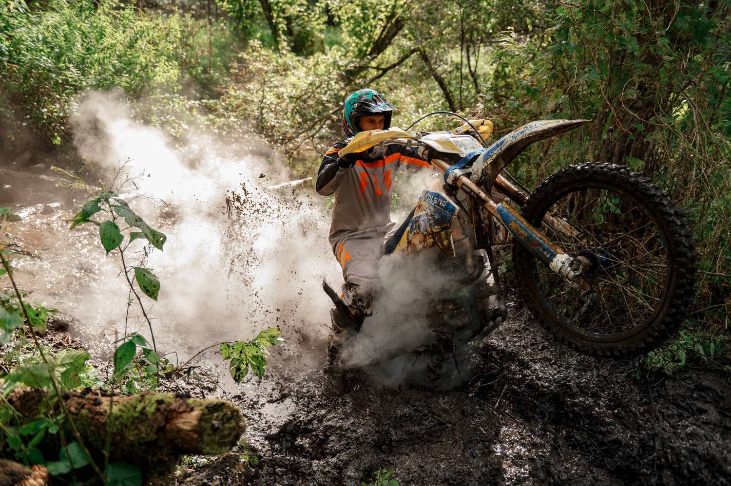 Фотография #13382936