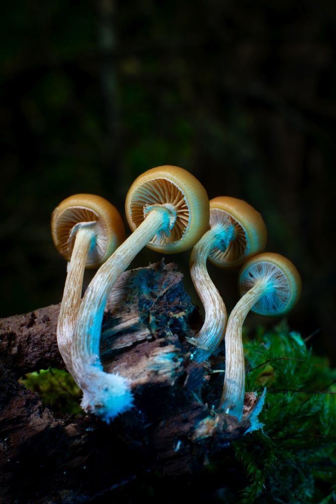 Photograph by Михаил Коротких