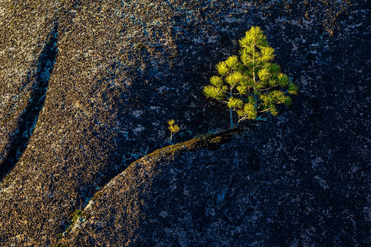 Фотография #13382943