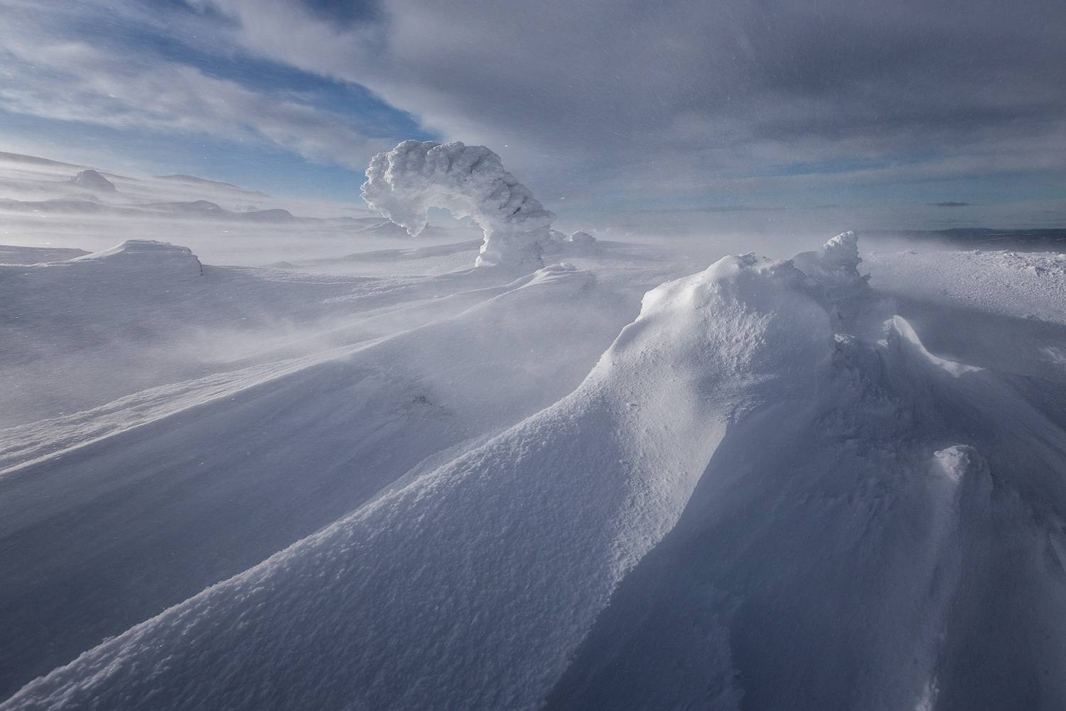 Фотография #13383001