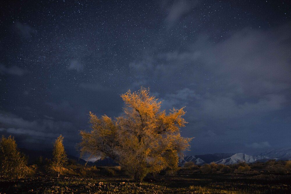 Photograph by Morteza Ghanbari