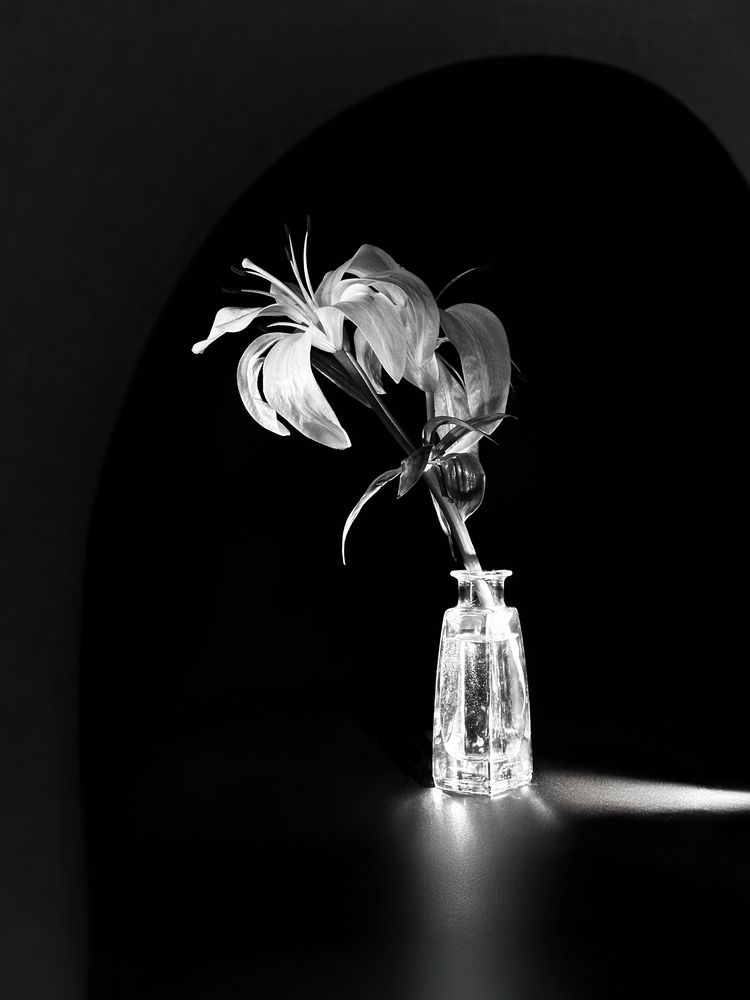 Photograph by Natalia van der Smissen