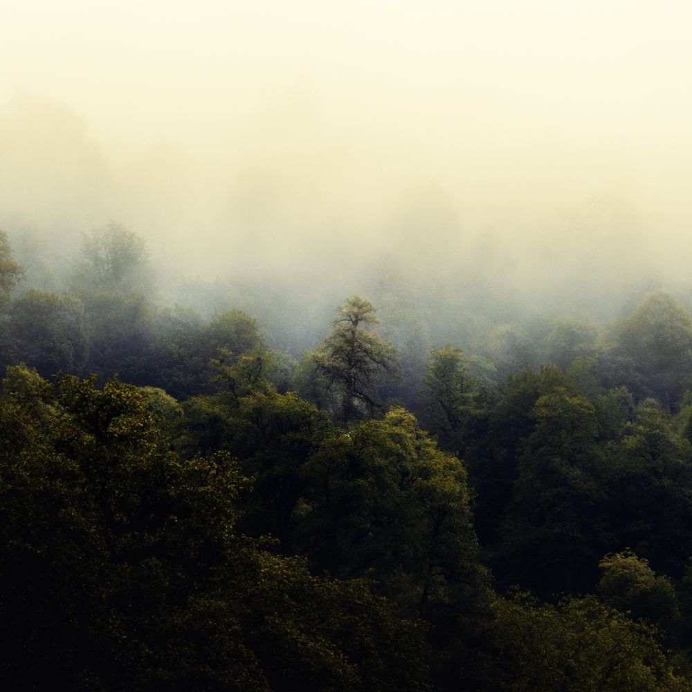 Photograph by Morteza Ghanbari