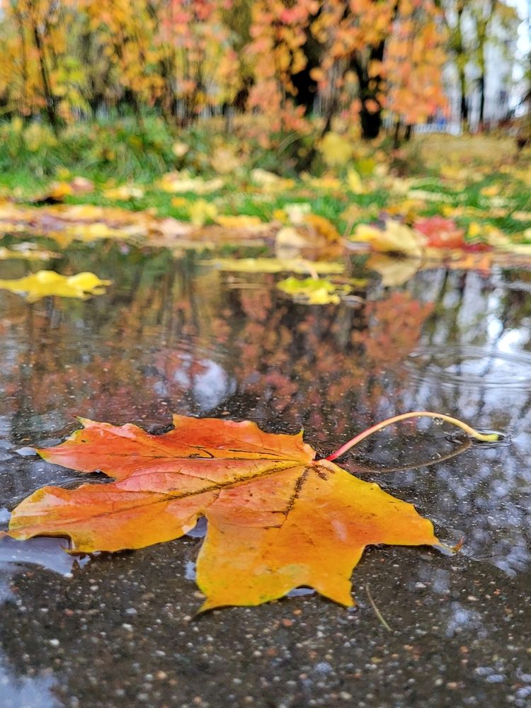 Photograph by Елена