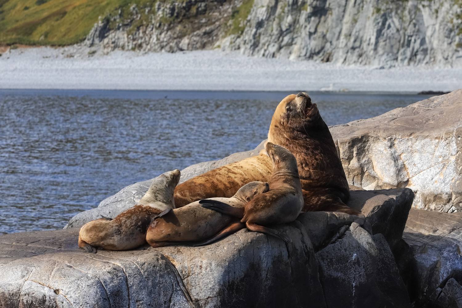 Солнечные ванны