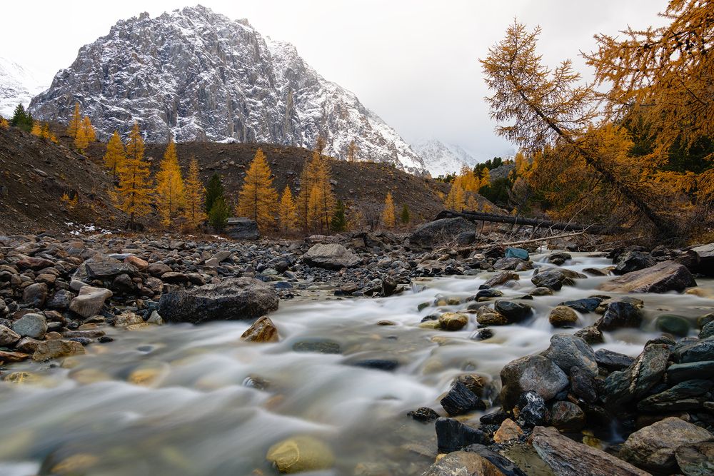 Photograph by Артём Кривошеев