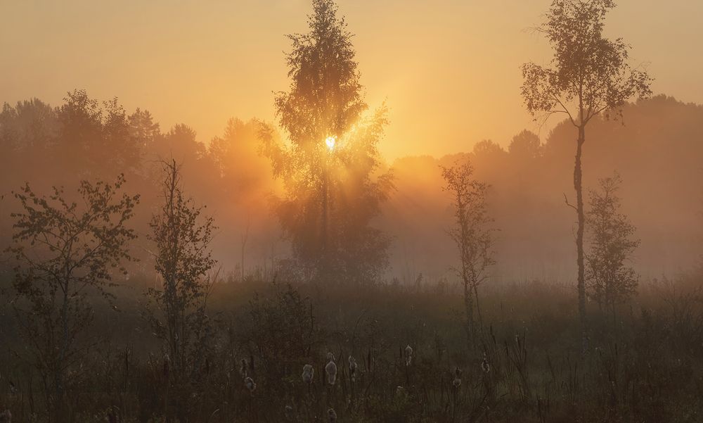 Фотография автора Щепотина Татьяна