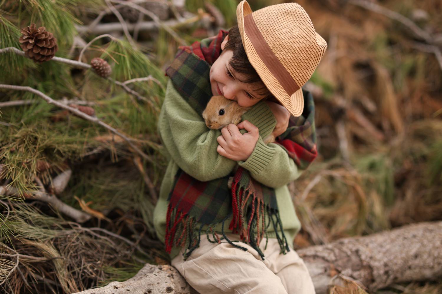 Photo #13383377