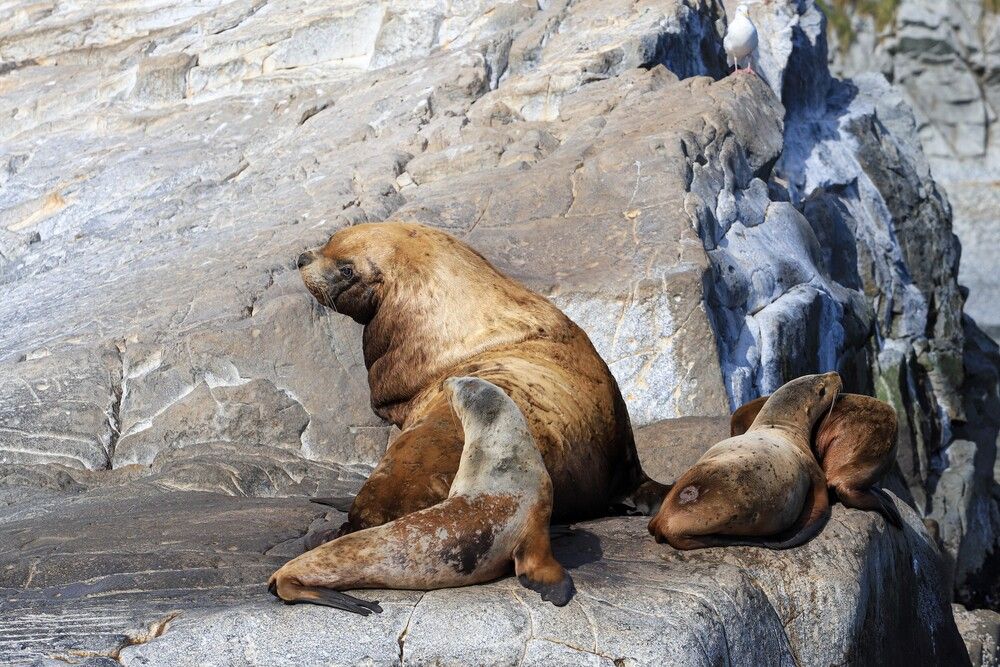 Тихий час, прошу не беспокоить.