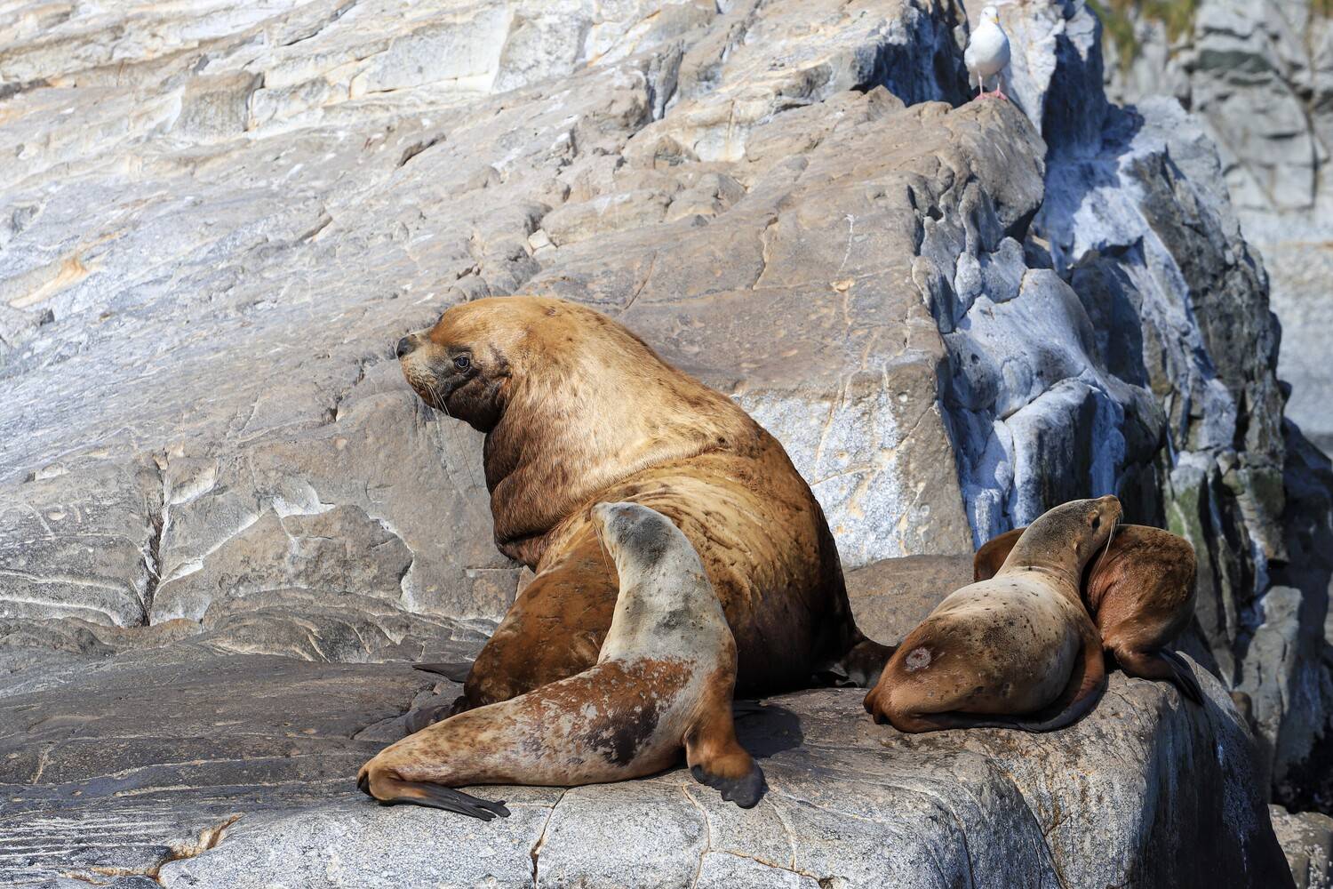 Тихий час, прошу не беспокоить. Тихий час, прошу не беспокоить.