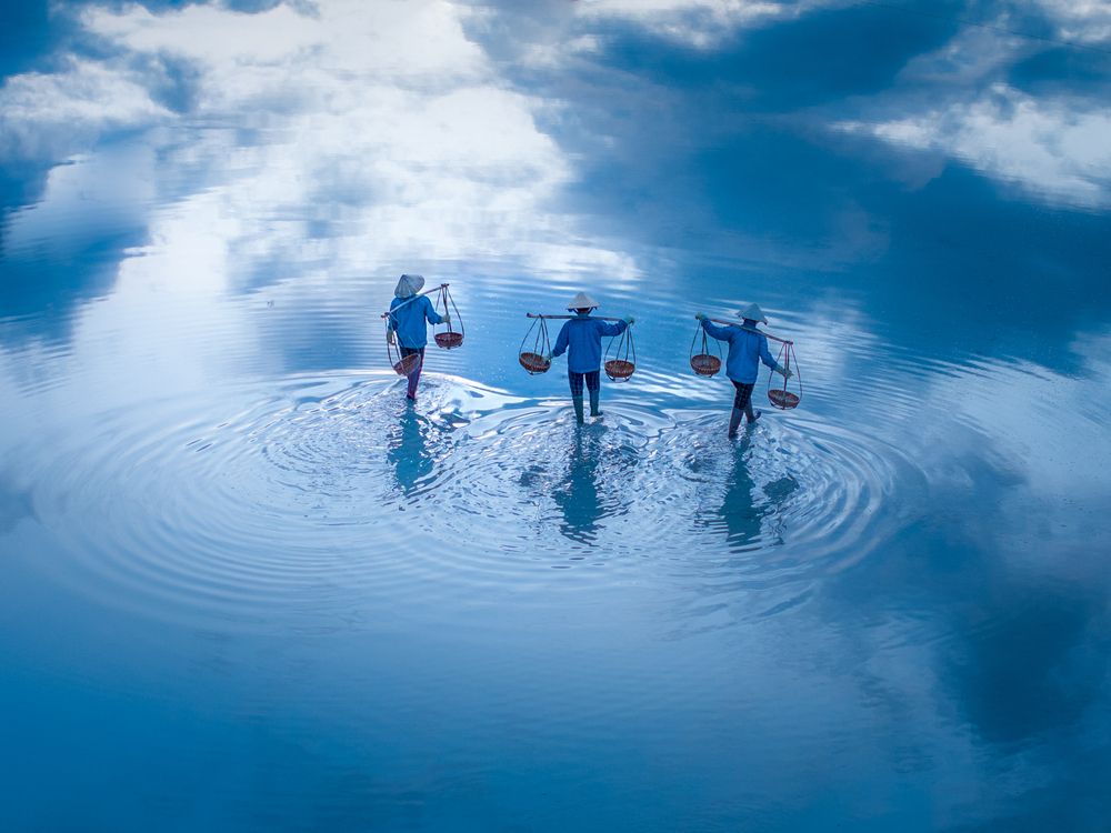 Salt Fields, Vietnam