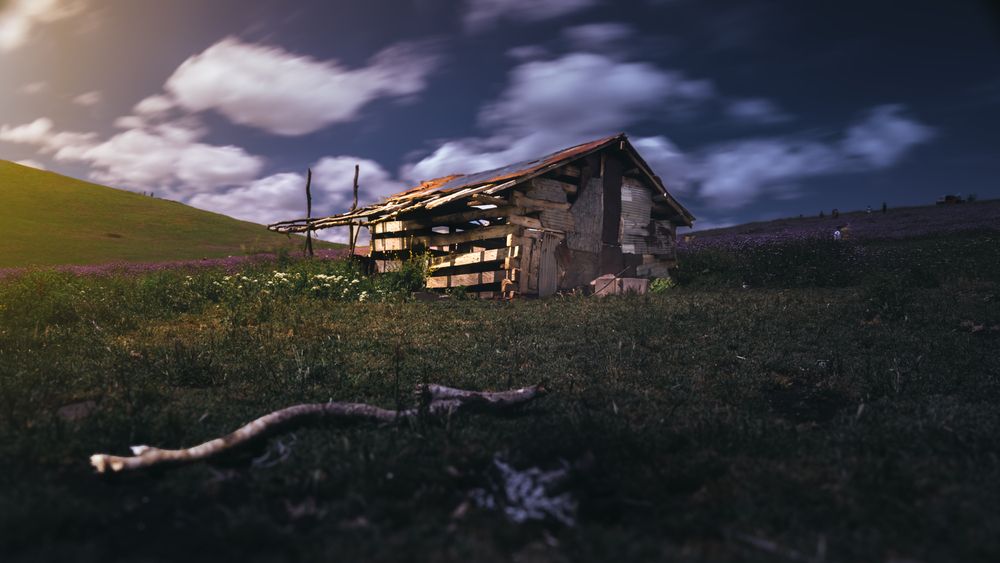 Photograph by Morteza Ghanbari