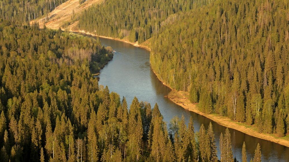 Фотография автора Александр Кожевников