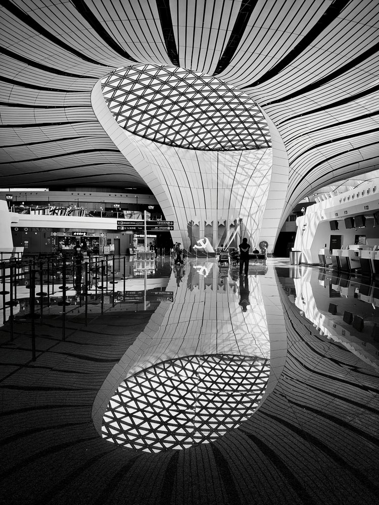 Photo #13383459